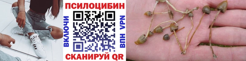 магазин продажи Спас-Деменск Галлюциногенные грибы GOLDEN TEACHER